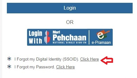 I Forgot my Digital Identity